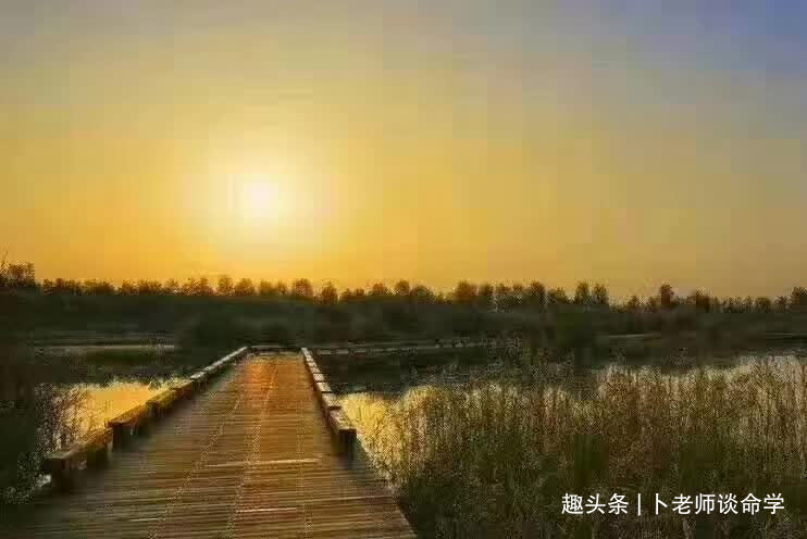 30岁无事业无婚姻，命局不高身弱的八字，如何才能找出人生出路
