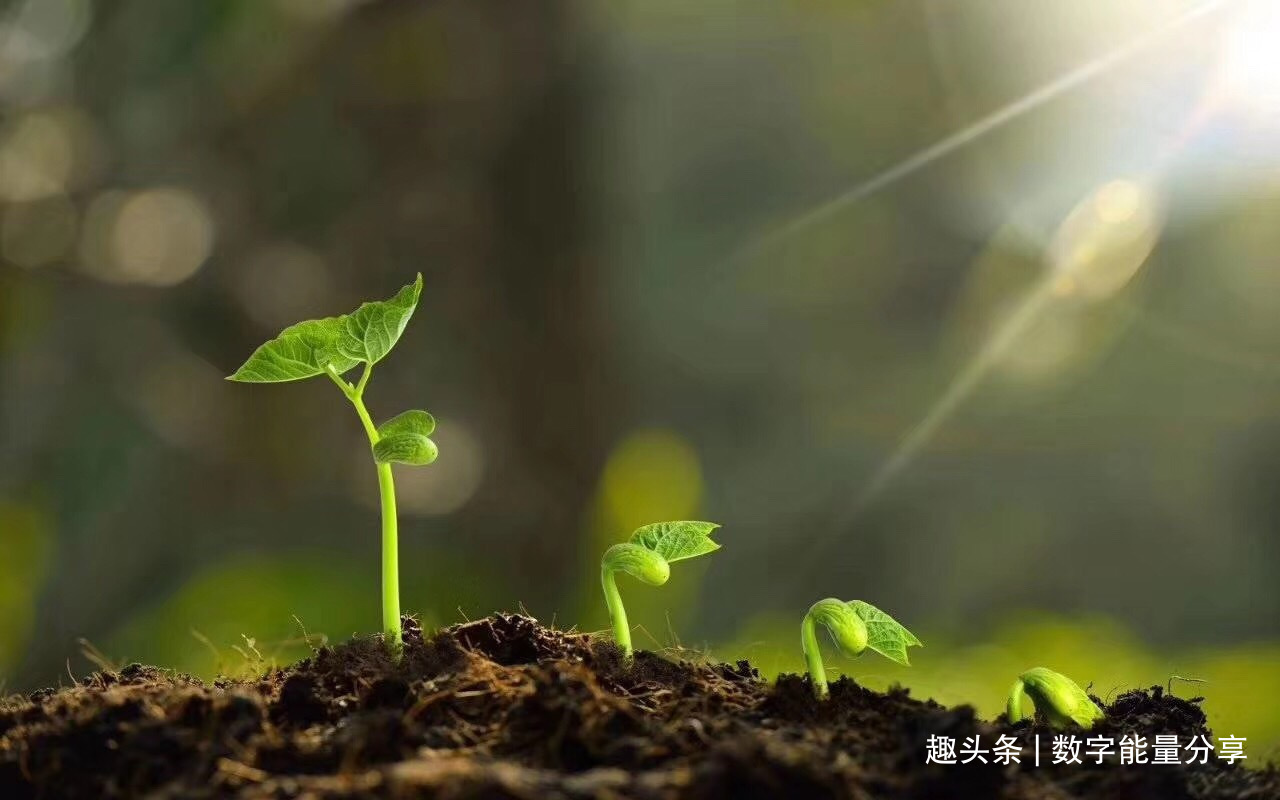 为什么手机号码中这样的数字天生我财不能用呢？
