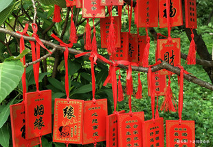 八字官杀混杂易招烂桃花，注定为情所困，未来何时得遇好姻缘