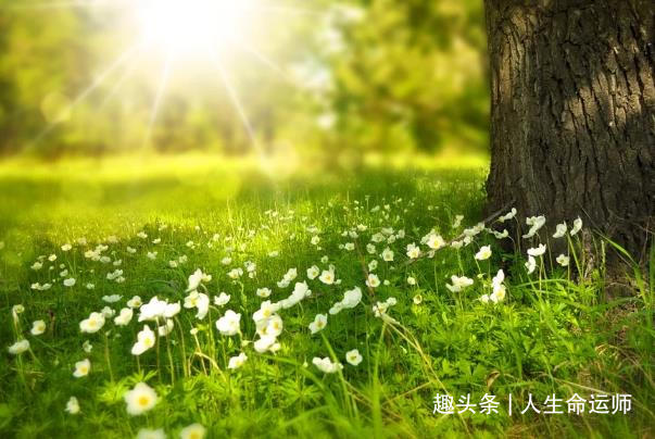 八字解答之命理八字学习中遇到的热点问题