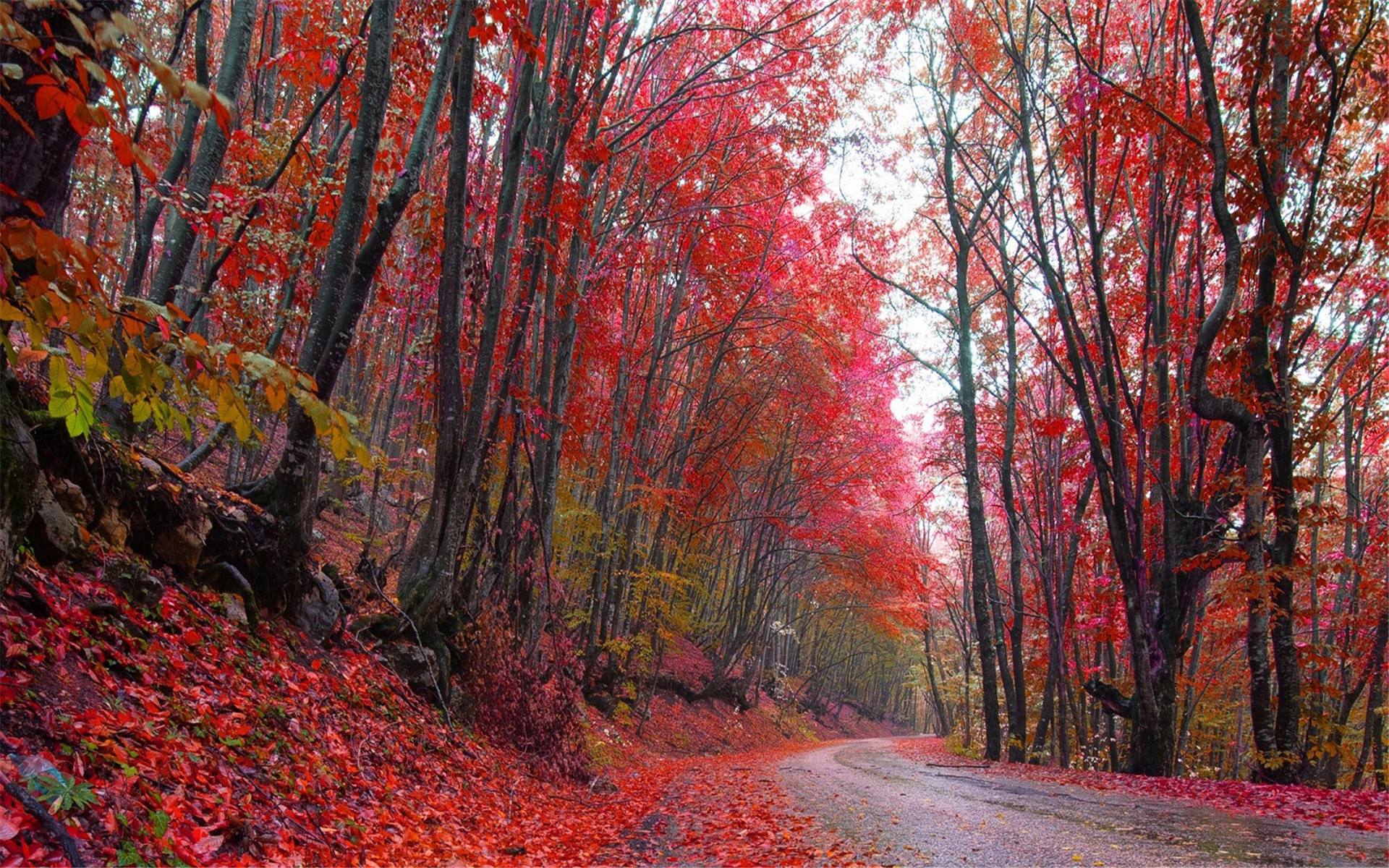 塔罗牌占卜:你的婚姻还有挽救的希望吗?