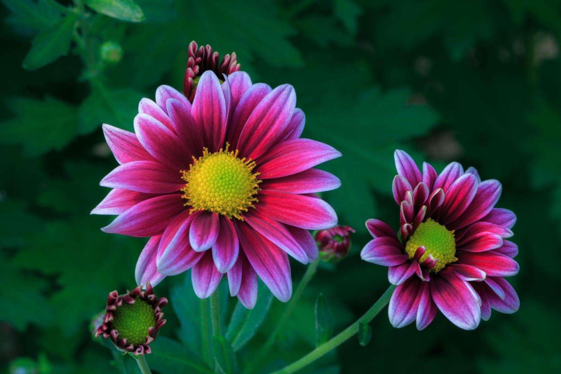 用八字命局中的十神来断命运的口诀到底准确率有多高,我都不信