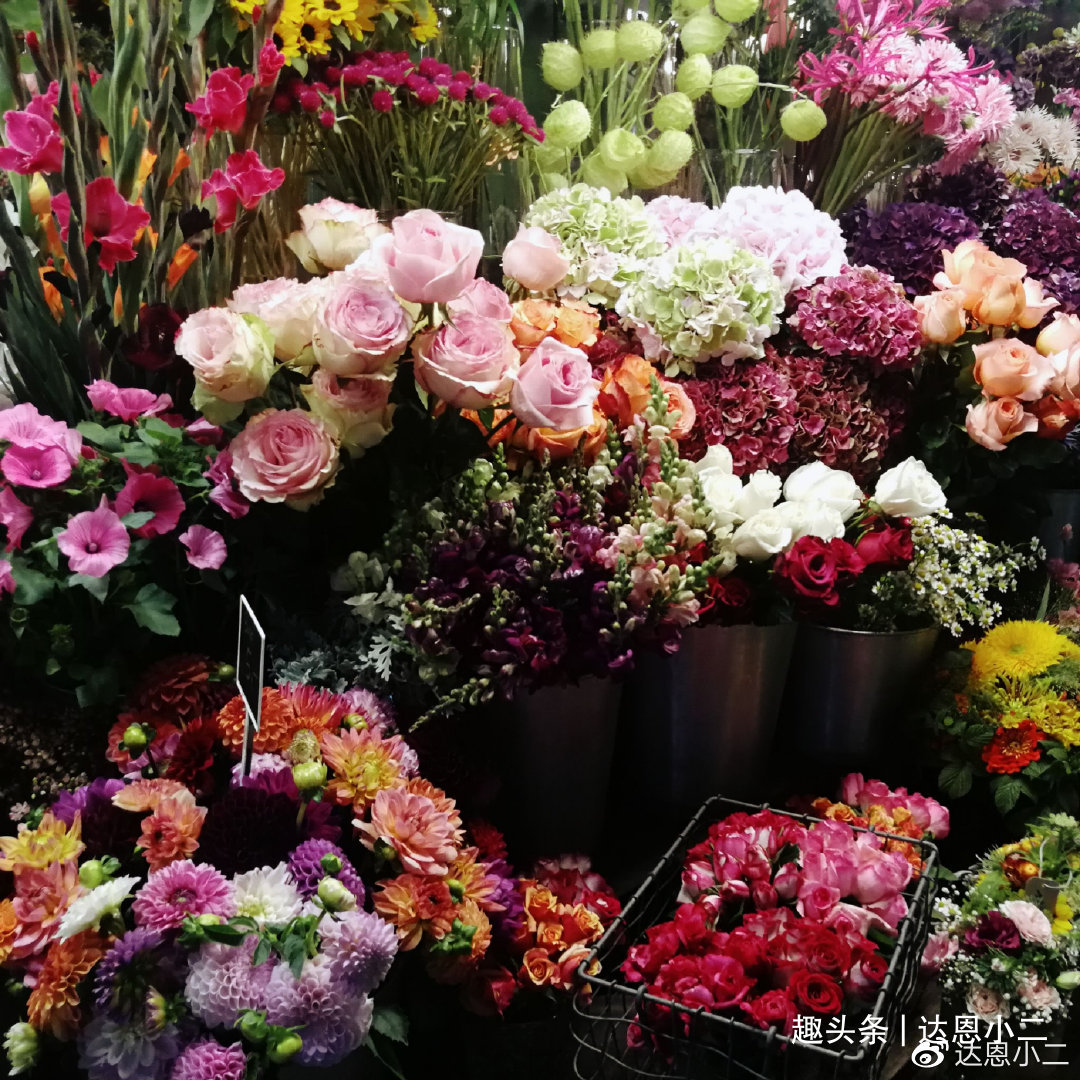 好听梦幻的花店名字丨起名推荐丨免费取名丨达恩小二