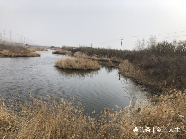 如何通过“生辰四柱”判断婚姻？你的婚姻顺不顺，一看便知