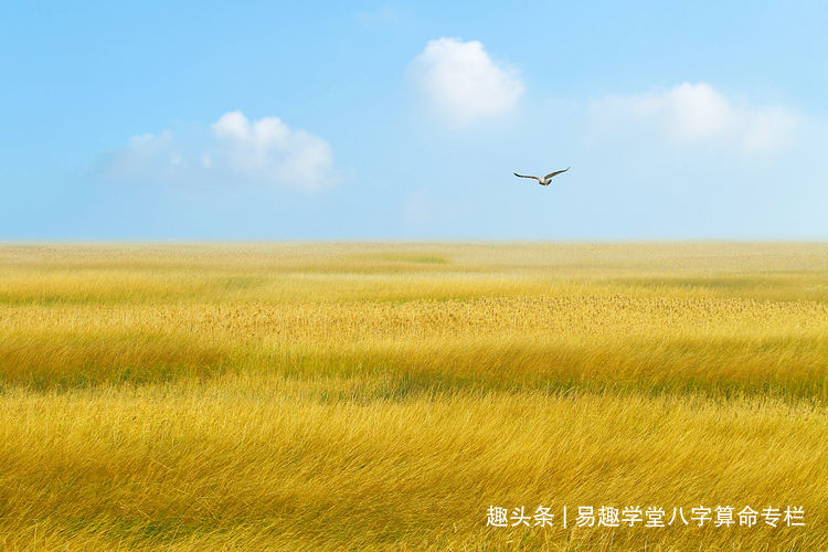 婚姻：四阳柱或者四阴柱，对婚姻情感有很大影响的八字