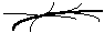 手相算命图解，掌纹看相图解