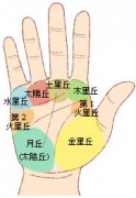怎么看女性的感情线