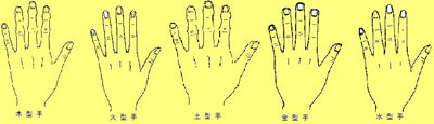 从手型看健康
