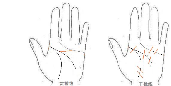 从手型看健康