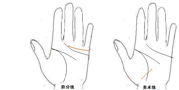 从手型看健康
