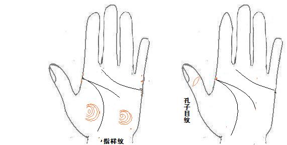 从手型看健康