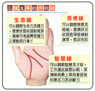 主要及次要手纹线