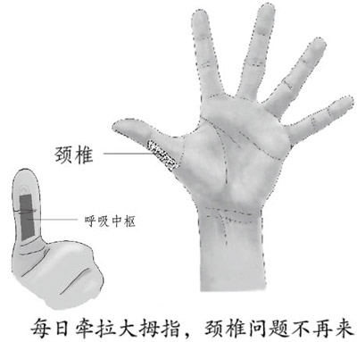 手上生命线预知疾病 双手反射区调理健康