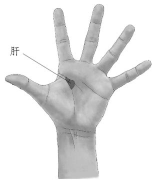 手上生命线预知疾病 双手反射区调理健康
