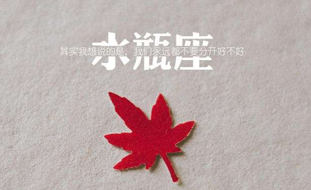水瓶座生肖分析_12种水瓶座_