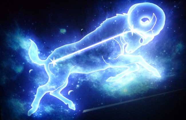 摩羯座生肖分析_12种摩羯座