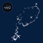 水瓶座是什么象星座：风象星座