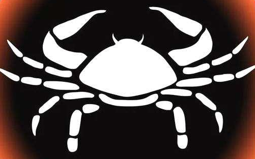 巨蟹座是什么象星座:水象星座 巨蟹座是什么象星座:水象星座