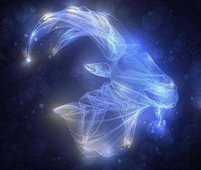 1月15日是什么星座:摩羯座 1月15日是什么星座:摩羯座