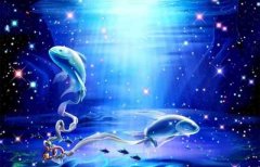 2月18日是什么星座：水瓶座或双鱼座