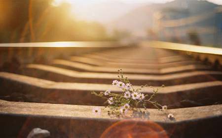 12星座女会有几个暧昧对象 12星座女会有几个暧昧对象