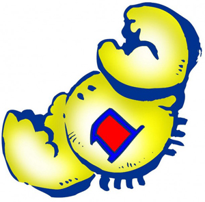 巨蟹女和处女男做夫妻好不好 巨蟹女和处女男做夫妻好不好