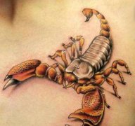 农历十月十五是什么星座:天蝎座或射手座