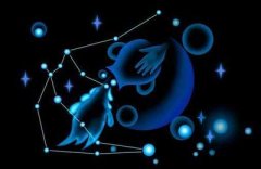 1月24日是什么星座:水瓶座