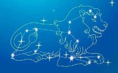 8月3日是什么星座:狮子座