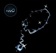 农历正月初九是什么星座:水瓶座或双鱼座