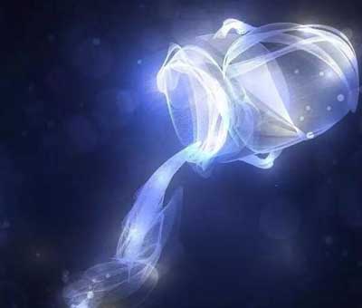 2月8日是什么星座:水瓶座 2月8日是什么星座:水瓶座