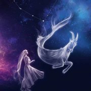 农历十二月十四是什么星座:水瓶座或摩羯座