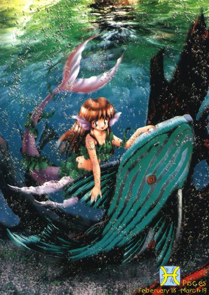 双鱼座配对比重,双鱼座和12星座配对比重 双鱼座配对比重