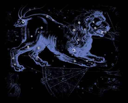 7月29日是什么星座:狮子座 7月29日是什么星座:狮子座