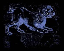 7月29日是什么星座:狮子座