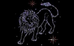 7月30日是什么星座:狮子座