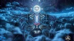 怎么追狮子座女孩?如何追狮子座女生?