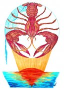 巨蟹座的守护星:月亮