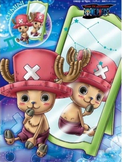 12星座顺序_十二星座的正确顺序