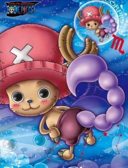 12星座顺序_十二星座的正确顺序