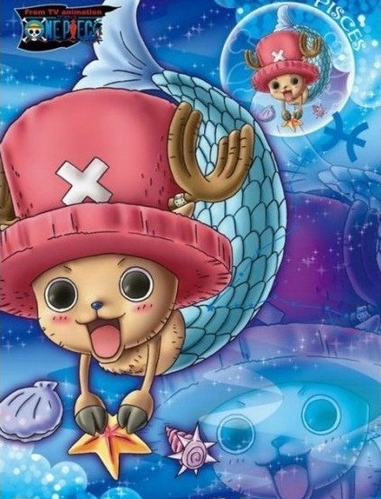 12星座顺序_十二星座的正确顺序