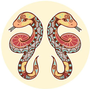 农历五月十一是什么星座：双子座或巨蟹座