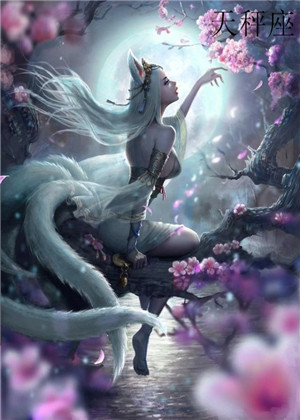 狮子男和天秤女做夫妻好不好 狮子男和天秤女做夫妻好不好