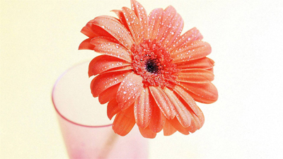 12星座女的欲擒故纵之术 12星座女的欲擒故纵之术