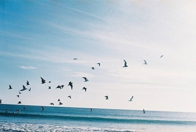 12星座的网恋最有可能的结局