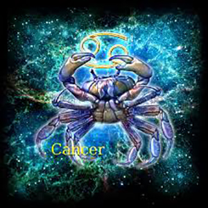 巨蟹座眼中的十二星座 巨蟹座眼中的十二星座