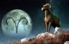 农历三月十三是什么星座:白羊_金牛