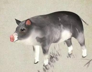 白羊座属猪的人性格解析 白羊座属猪的人性格解析