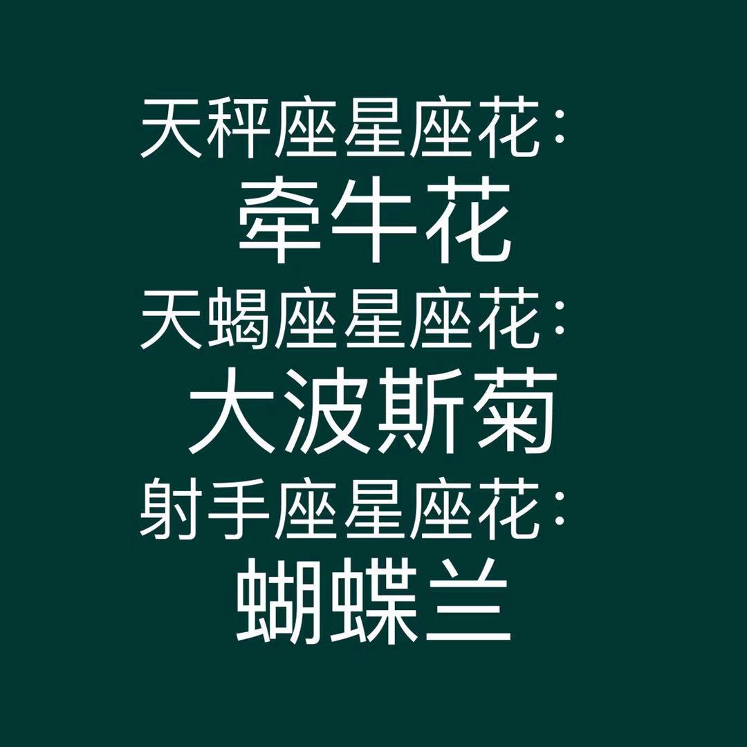 十二星座各代表什么花【5图】