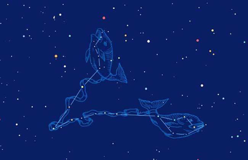 双鱼座AB型 双鱼座AB型